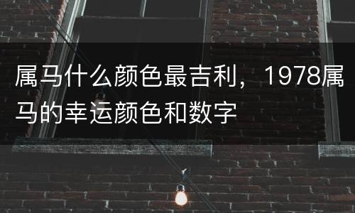 属马什么颜色最吉利，1978属马的幸运颜色和数字