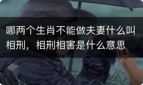 哪两个生肖不能做夫妻什么叫相刑，相刑相害是什么意思