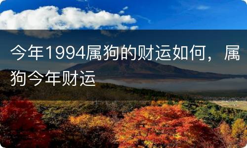 今年1994属狗的财运如何，属狗今年财运