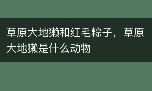 草原大地獭和红毛粽子，草原大地獭是什么动物