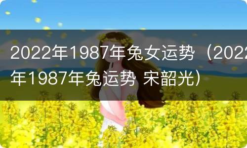 2022年1987年兔女运势（2022年1987年兔运势 宋韶光）