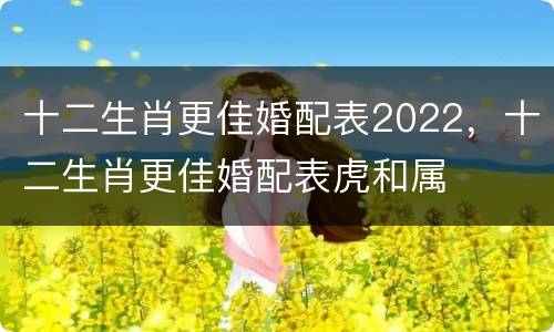 十二生肖更佳婚配表2022，十二生肖更佳婚配表虎和属