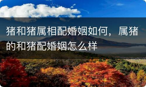 猪和猪属相配婚姻如何，属猪的和猪配婚姻怎么样