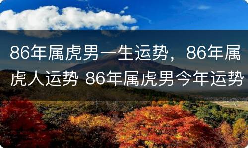 86年属虎男一生运势，86年属虎人运势 86年属虎男今年运势