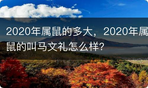 2020年属鼠的多大，2020年属鼠的叫马文礼怎么样？