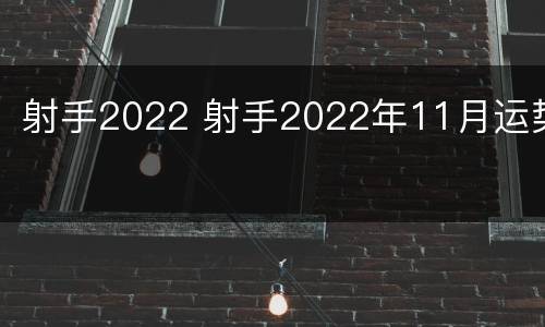射手2022 射手2022年11月运势