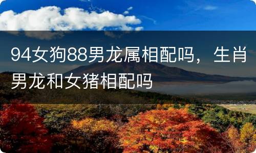 94女狗88男龙属相配吗，生肖男龙和女猪相配吗