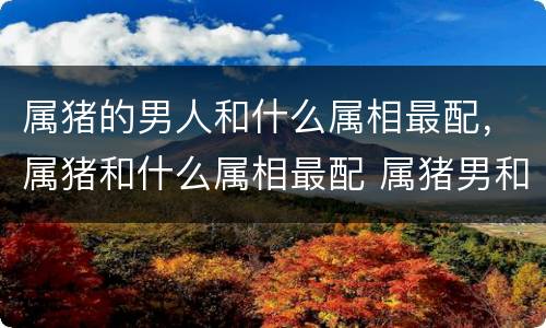 属猪的男人和什么属相最配，属猪和什么属相最配 属猪男和什么属
