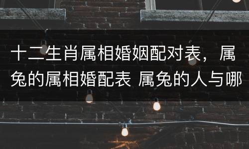 十二生肖属相婚姻配对表，属兔的属相婚配表 属兔的人与哪个生肖最配