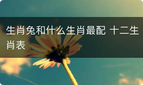 生肖兔和什么生肖最配 十二生肖表