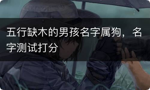 五行缺木的男孩名字属狗，名字测试打分