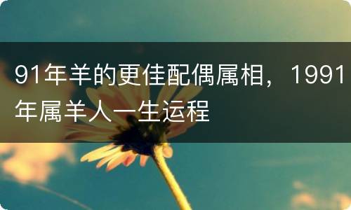 91年羊的更佳配偶属相，1991年属羊人一生运程