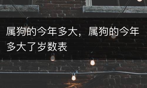 属狗的今年多大，属狗的今年多大了岁数表