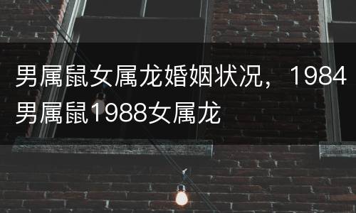 男属鼠女属龙婚姻状况，1984男属鼠1988女属龙