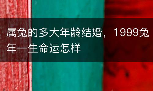 属兔的多大年龄结婚，1999兔年一生命运怎样