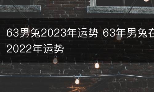 63男兔2023年运势 63年男兔在2022年运势