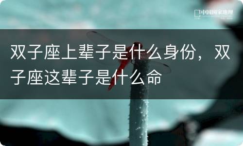 双子座上辈子是什么身份，双子座这辈子是什么命