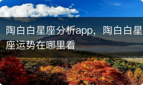 陶白白星座分析app，陶白白星座运势在哪里看