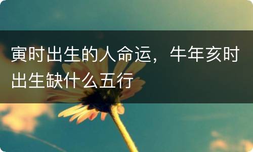 寅时出生的人命运，牛年亥时出生缺什么五行