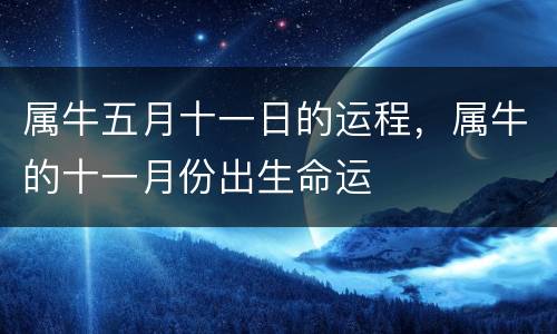 属牛五月十一日的运程，属牛的十一月份出生命运