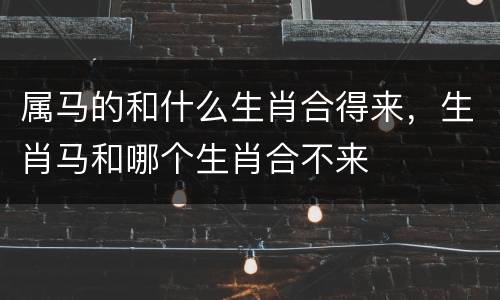 属马的和什么生肖合得来，生肖马和哪个生肖合不来