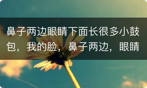 鼻子两边眼睛下面长很多小鼓包，我的脸，鼻子两边，眼睛下方那一片有很多特