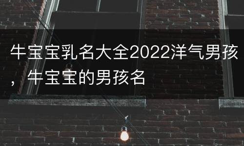 牛宝宝乳名大全2022洋气男孩，牛宝宝的男孩名