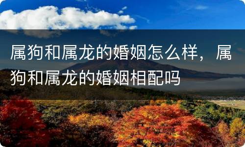 属狗和属龙的婚姻怎么样，属狗和属龙的婚姻相配吗