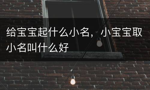 给宝宝起什么小名，小宝宝取小名叫什么好