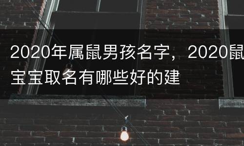 2020年属鼠男孩名字，2020鼠宝宝取名有哪些好的建