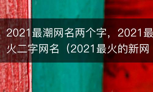 2021最潮网名两个字，2021最火二字网名（2021最火的新网名两字）