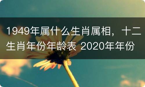 1949年属什么生肖属相，十二生肖年份年龄表 2020年年份