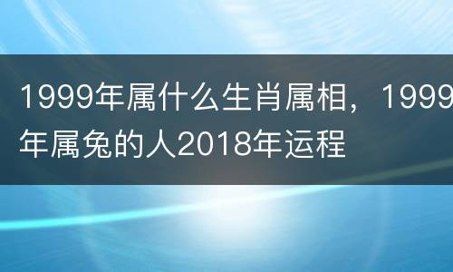1999年属什么生肖属相，1999年属兔的人2018年运程
