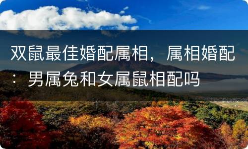 双鼠最佳婚配属相，属相婚配：男属兔和女属鼠相配吗