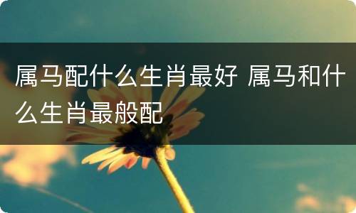 属马配什么生肖最好 属马和什么生肖最般配