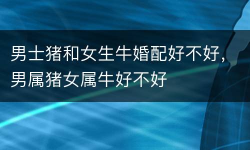 男士猪和女生牛婚配好不好，男属猪女属牛好不好