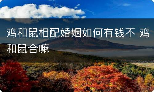 鸡和鼠相配婚姻如何有钱不 鸡和鼠合嘛