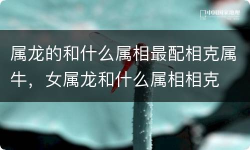 属龙的和什么属相最配相克属牛，女属龙和什么属相相克