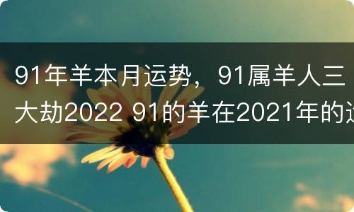 91年羊本月运势，91属羊人三大劫2022 91的羊在2021年的运势