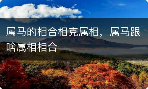 属马的相合相克属相，属马跟啥属相相合
