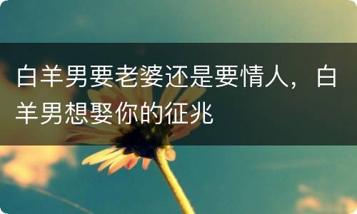 白羊男要老婆还是要情人，白羊男想娶你的征兆
