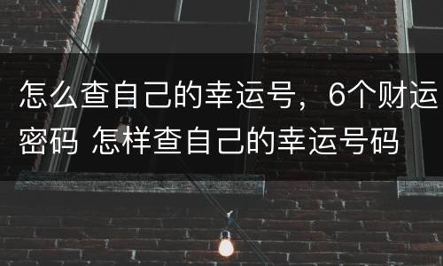 怎么查自己的幸运号，6个财运密码 怎样查自己的幸运号码