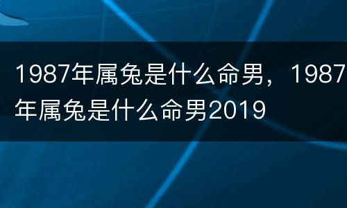 1987年属兔是什么命男，1987年属兔是什么命男2019