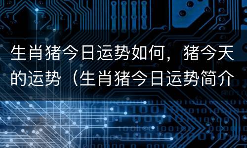 生肖猪今日运势如何，猪今天的运势（生肖猪今日运势简介）