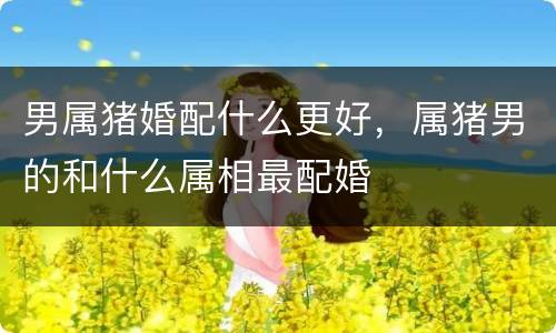男属猪婚配什么更好，属猪男的和什么属相最配婚
