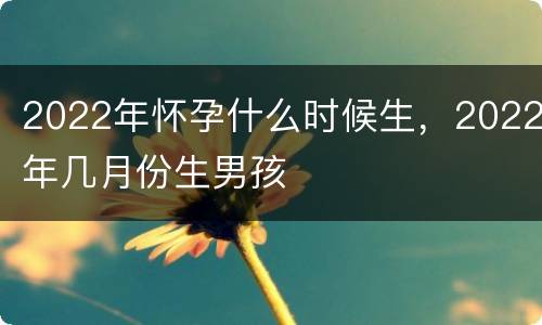 2022年怀孕什么时候生，2022年几月份生男孩