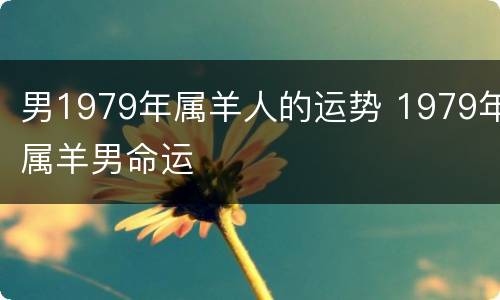 男1979年属羊人的运势 1979年属羊男命运