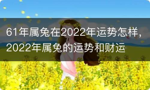 61年属兔在2022年运势怎样，2022年属兔的运势和财运