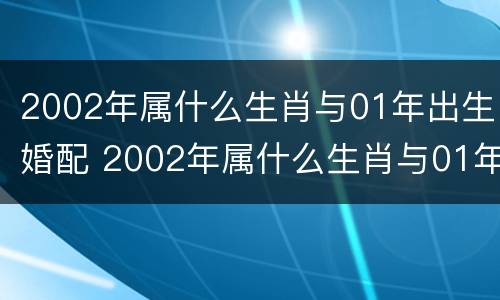 2002年属什么生肖与01年出生婚配 2002年属什么生肖与01年出生婚配好