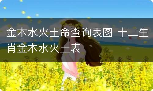 金木水火土命查询表图 十二生肖金木水火土表